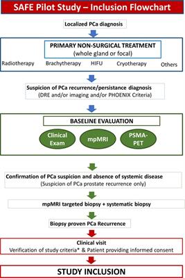 The SAFE Pilot Trial—SAlvage Focal Irreversible Electroporation—For Recurrent Localized Prostate Cancer: Rationale and Study Protocol